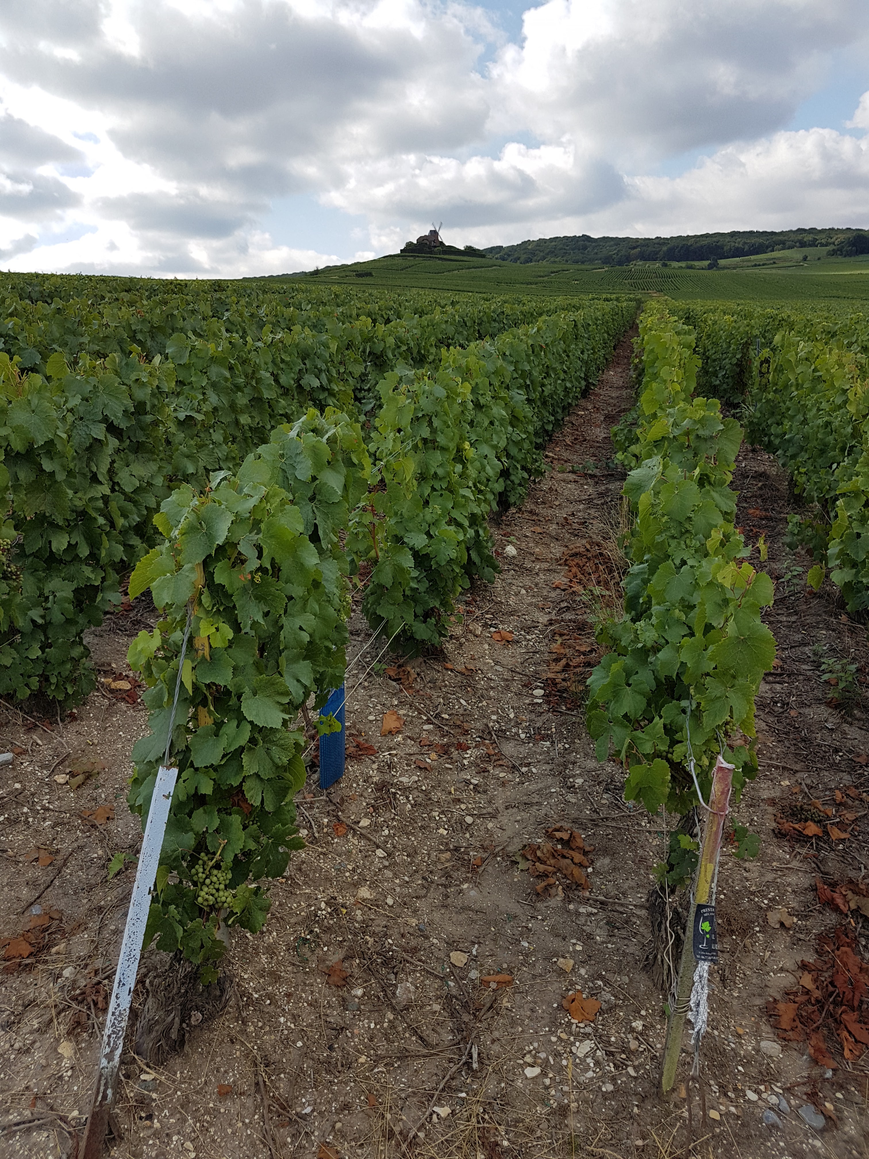 Photo n° 2 de l'avis de TWIN.A fait le 04/10/2019 à 14:05