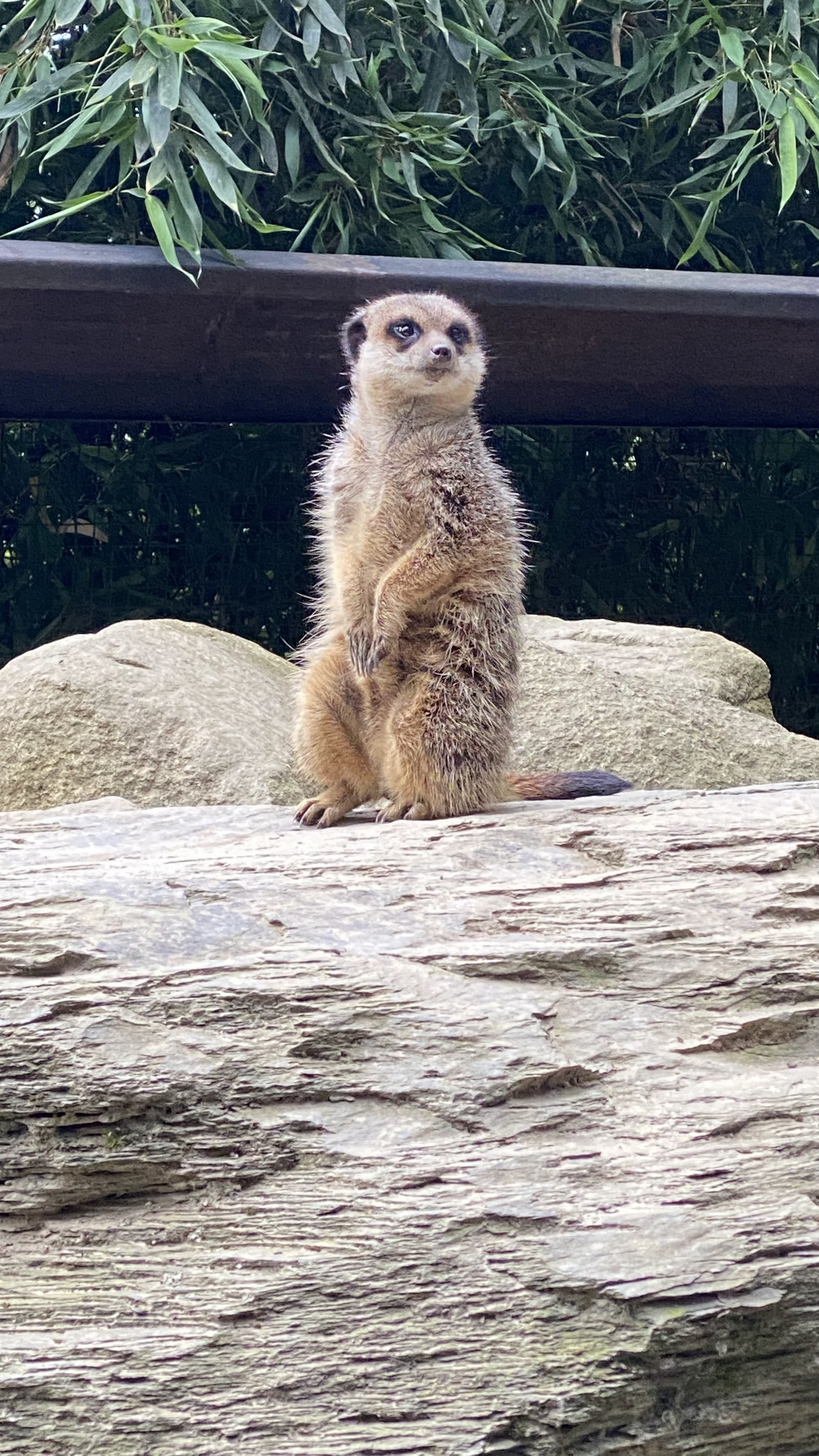 Photo n° 11 de l'avis de Jérémie.o fait le 10/07/2021 à 20:40