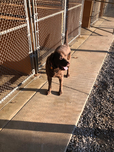 Birch Haven Kennel & Grooming