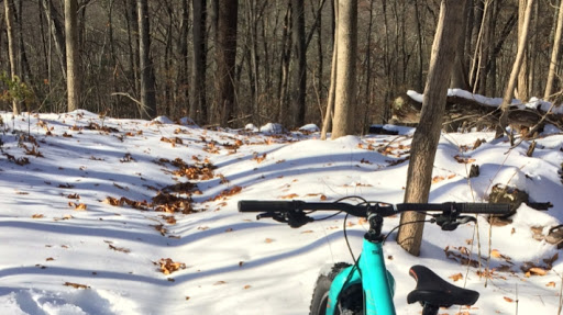 Bicycle Store «Central Wheel», reviews and photos, 62 Farmington Ave, Farmington, CT 06032, USA