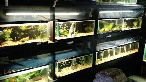 Pet Store «Fancy Tails Fish Farm», reviews and photos, 2324 US Hwy 27 S, Sebring, FL 33872, USA