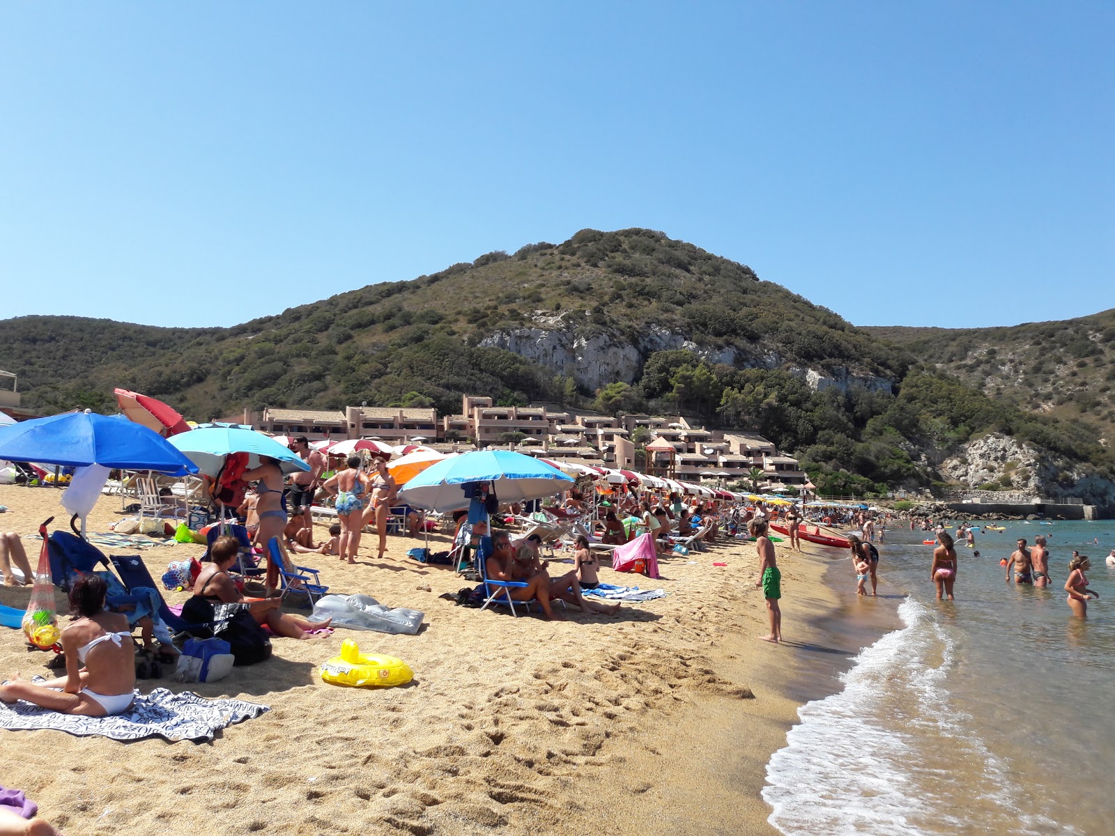 Bagno il Delfino photo #8