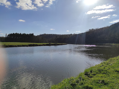 La Mare aux mortiers Mare au mortiers, Cambree, 35580 Saint-Senoux, France