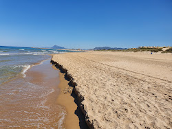 Playa de Oliva'in fotoğrafı - rahatlamayı sevenler arasında popüler bir yer