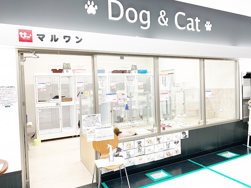 グルコミ 東京都荒川区 ペットショップで みんなの評価と口コミがすぐわかるグルメ 観光サイト