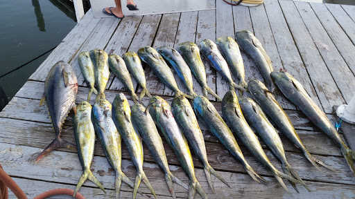 Prawn fishing Norfolk