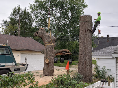 Browning Tree Service