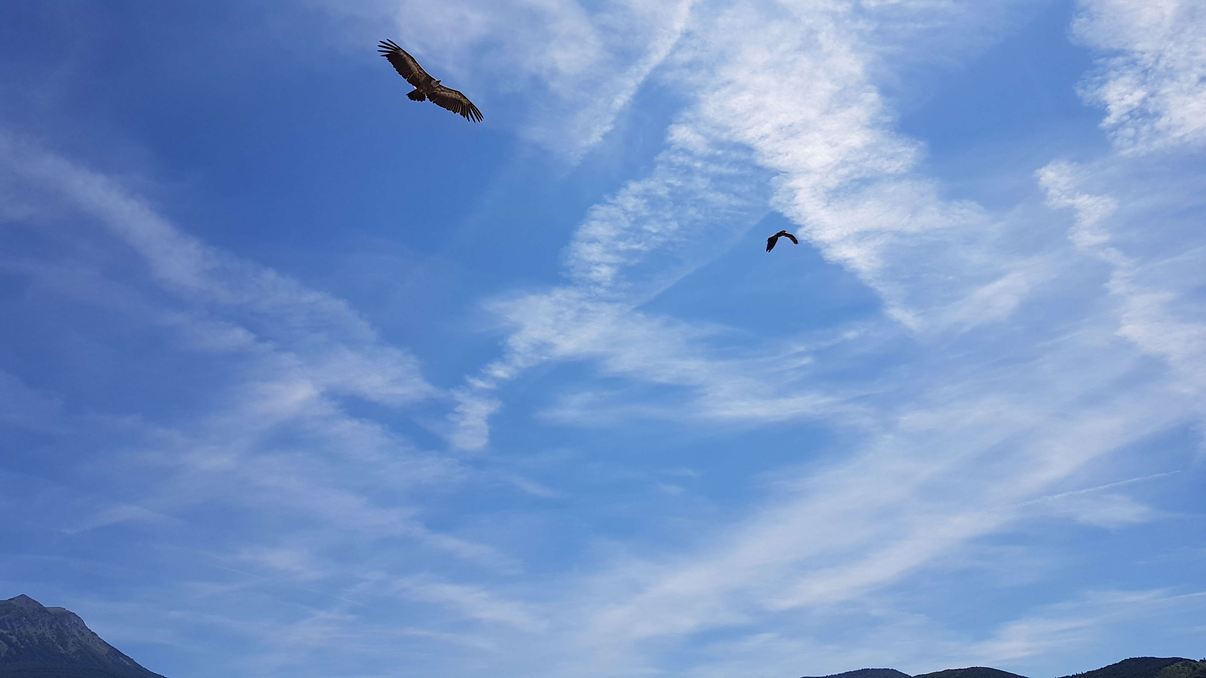 Photo n° 15 de l'avis de TonTon.e fait le 26/08/2018 à 21:52