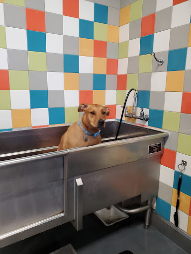 Pet Supply Store «Unleashed by Petco», reviews and photos, 515 El Camino Real #120, Menlo Park, CA 94025, USA