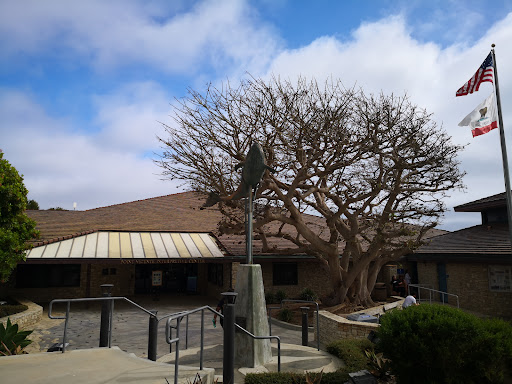 Natural History Museum «Point Vicente Interpretive Center», reviews and photos, 31501 Palos Verdes Dr W, Rancho Palos Verdes, CA 90275, USA