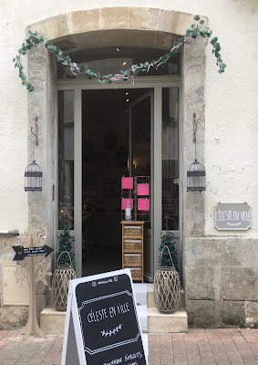 Céleste en ville à Niort