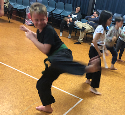 The Kung Fu School - Oranga, One Tree Hill & Onehunga