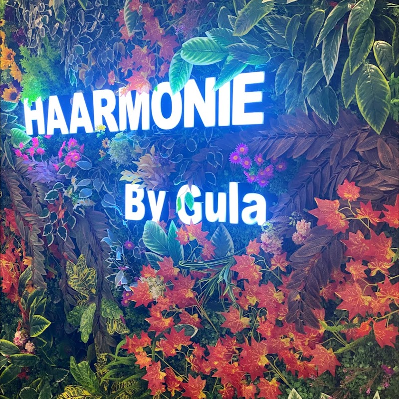 Haarmonie by Gula