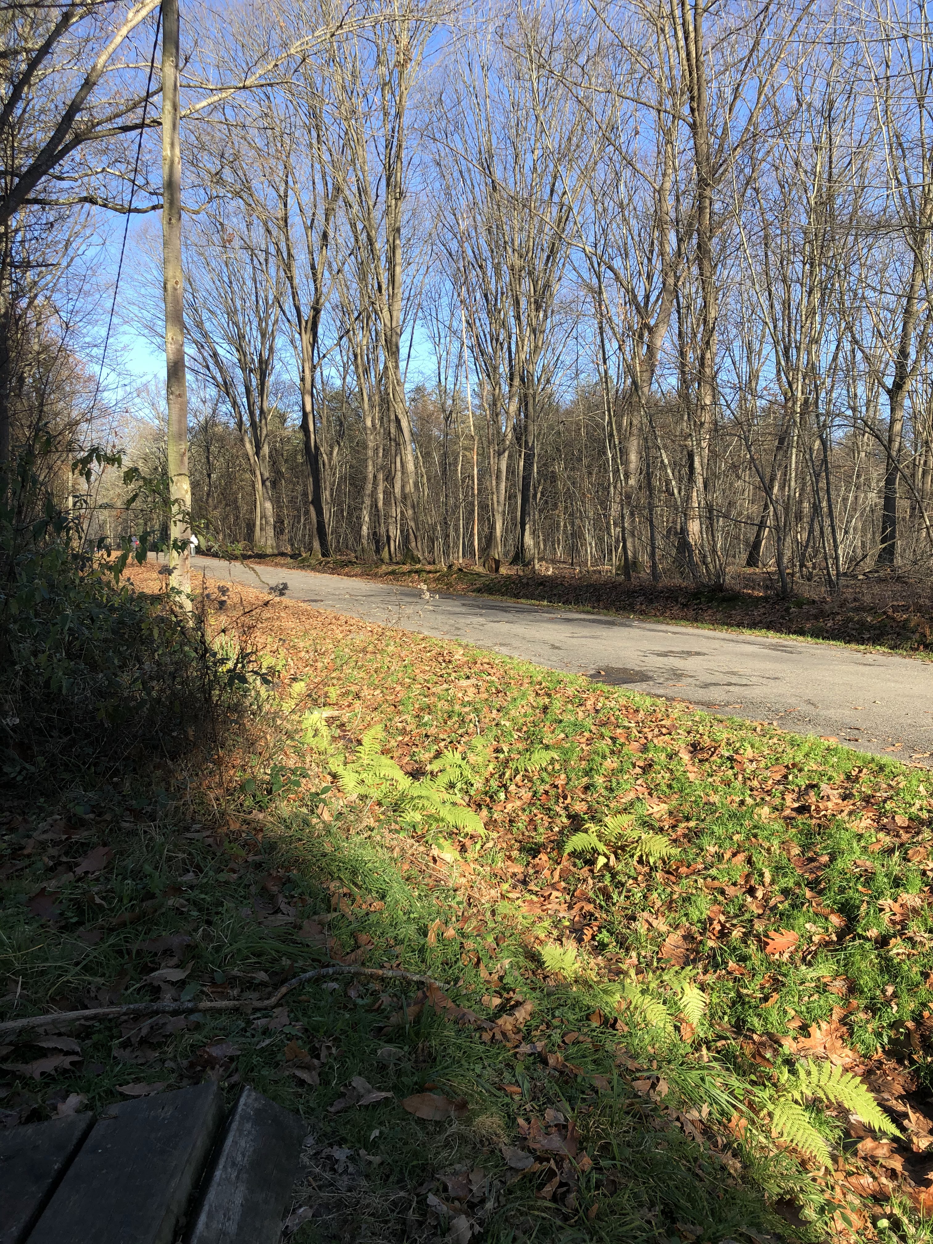 Photo n° 2 de l'avis de Dimitry.o fait le 15/12/2019 à 13:45