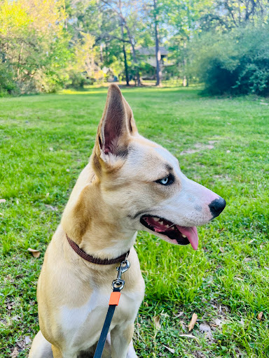 Park «Terry Hershey Park», reviews and photos, 15200 Memorial Dr, Houston, TX 77079, USA