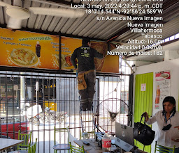 La Totó photo