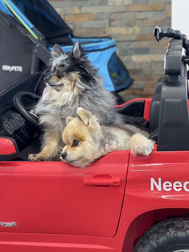 Car Dealer «Vanderstyne Toyota», reviews and photos, 4374 W Ridge Rd, Rochester, NY 14626, USA