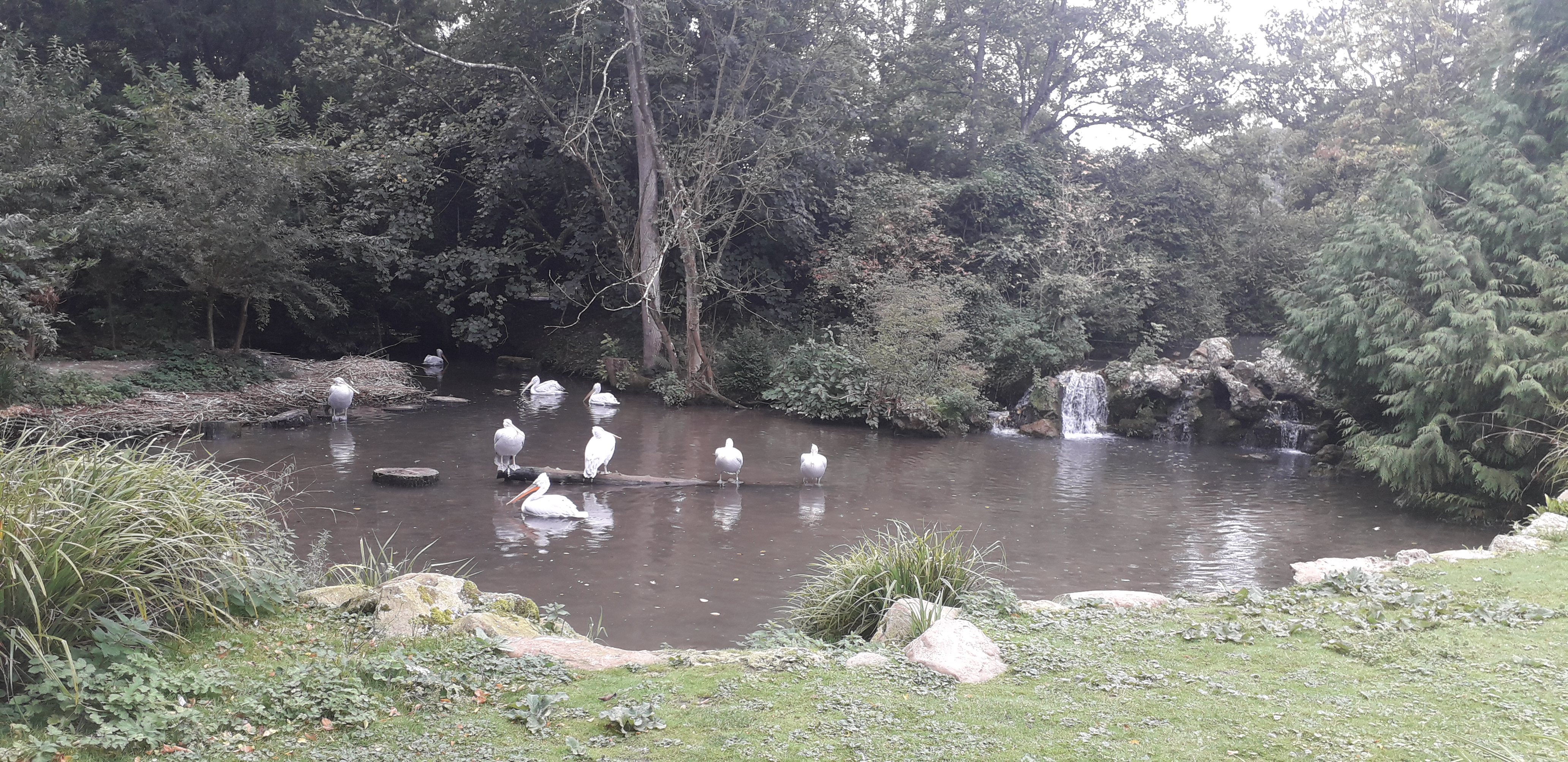 Photo n° 9 de l'avis de lilou.i fait le 19/09/2020 à 16:48