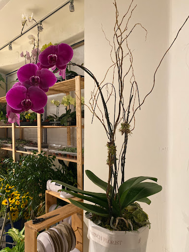 Florist «French Florist», reviews and photos, 8658 W Pico Blvd, Los Angeles, CA 90035, USA