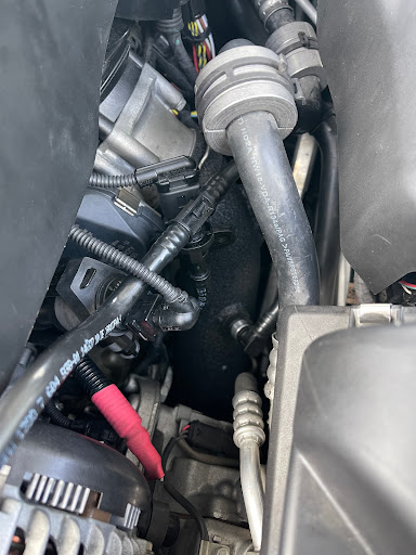 Burger Motorsports image