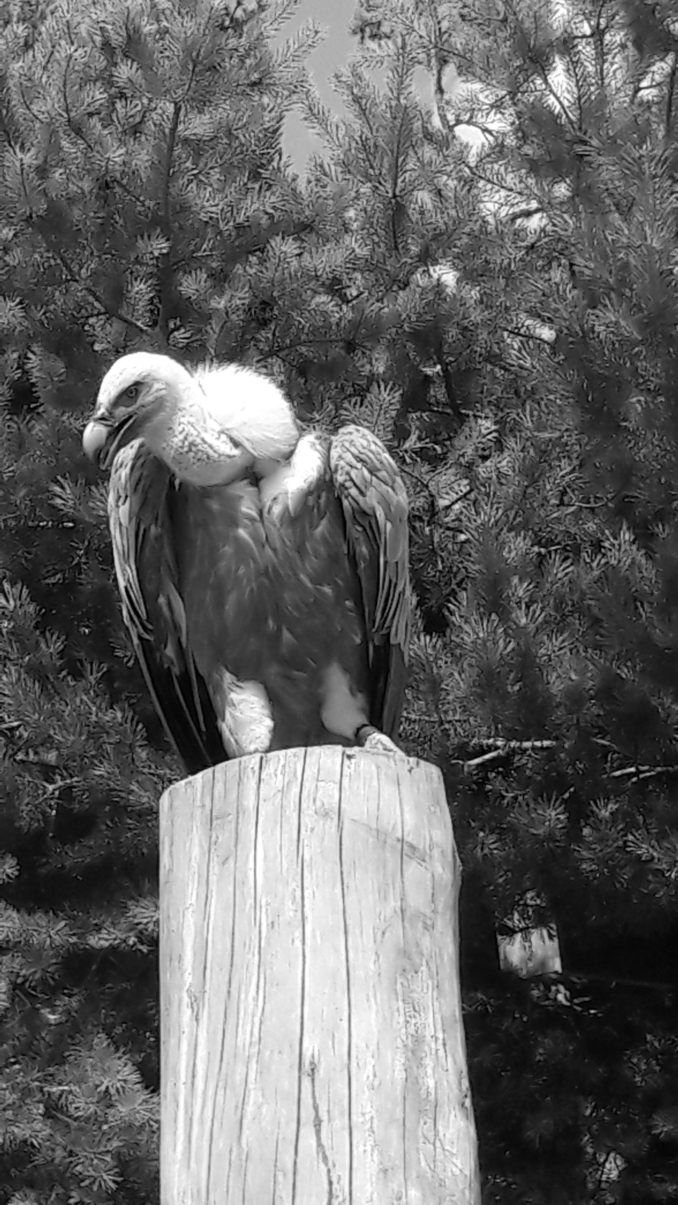 Photo n° 3 de l'avis de Sabrina.o fait le 02/07/2018 à 22:16