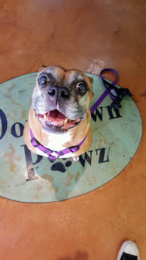 Pet Store «Downtown Pawz», reviews and photos, 1623 Main St #106, Dallas, TX 75201, USA