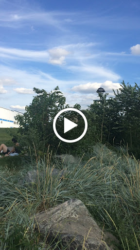 Park «Bushwick Inlet Park», reviews and photos, Kent Ave, Brooklyn, NY 11249, USA