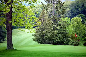 Twin Hickory Golf Club image