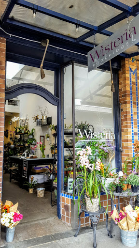 Florist «Wisteria Rockridge», reviews and photos, 6307 College Ave, Oakland, CA 94618, USA