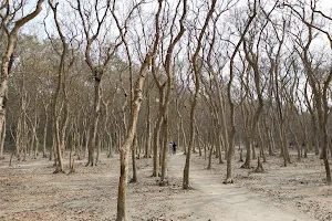 Debagram Forest (Pandepara) image