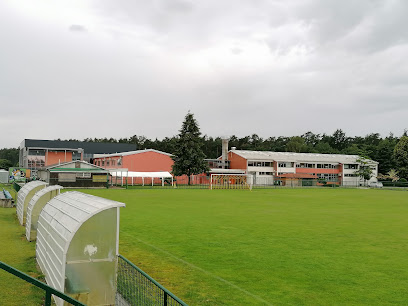 Osnovna šola Miklavž na Dravskem polju