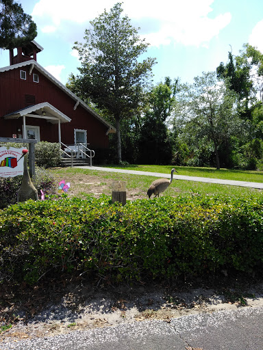 Used Book Store «Library Book Corner», reviews and photos, 1208 Kenlake Ave, Spring Hill, FL 34606, USA