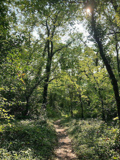 Lawrence River Trails