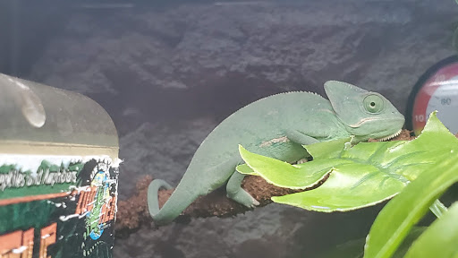 Pet Supply Store «Petco Animal Supplies», reviews and photos, 2621 MacArthur Rd, Whitehall, PA 18052, USA