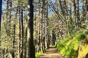 Sequoia Bayview Trail Trailhead image