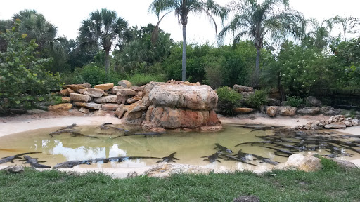 Amusement Park «Gatorland», reviews and photos, 14501 S Orange Blossom Trail, Orlando, FL 32837, USA