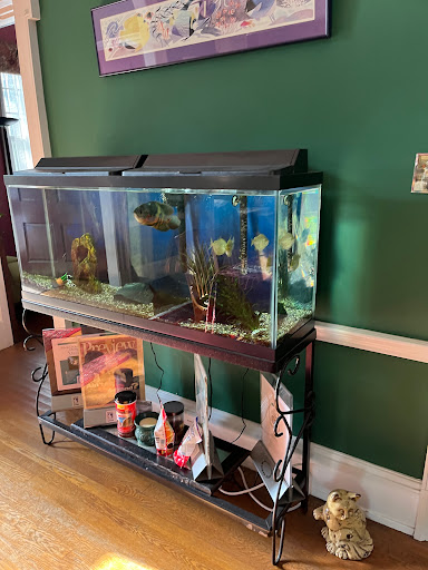 Bed & Breakfast «Morehead Manor Bed and Breakfast», reviews and photos, 914 Vickers Ave, Durham, NC 27701, USA