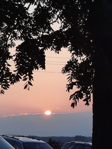 Vineyard «Ardon Creek Vineyard and Winery», reviews and photos, 2391 Independence Ave, Letts, IA 52754, USA