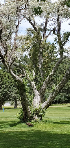 Golf Course «Oquirrh Hills Golf Course», reviews and photos, 1255 E Vine St, Tooele, UT 84074, USA