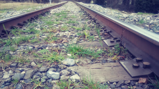 Park «Katherine Rose Memorial Park», reviews and photos, 303 N Walnut Creek Dr, Mansfield, TX 76063, USA