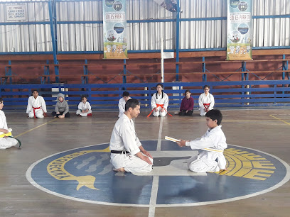 Dojo Kimoshi Shotokai Karate-do y Aikijujitsu Quirihue (Akdes)