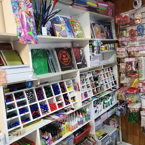 Libreria Y Bazar Juanita