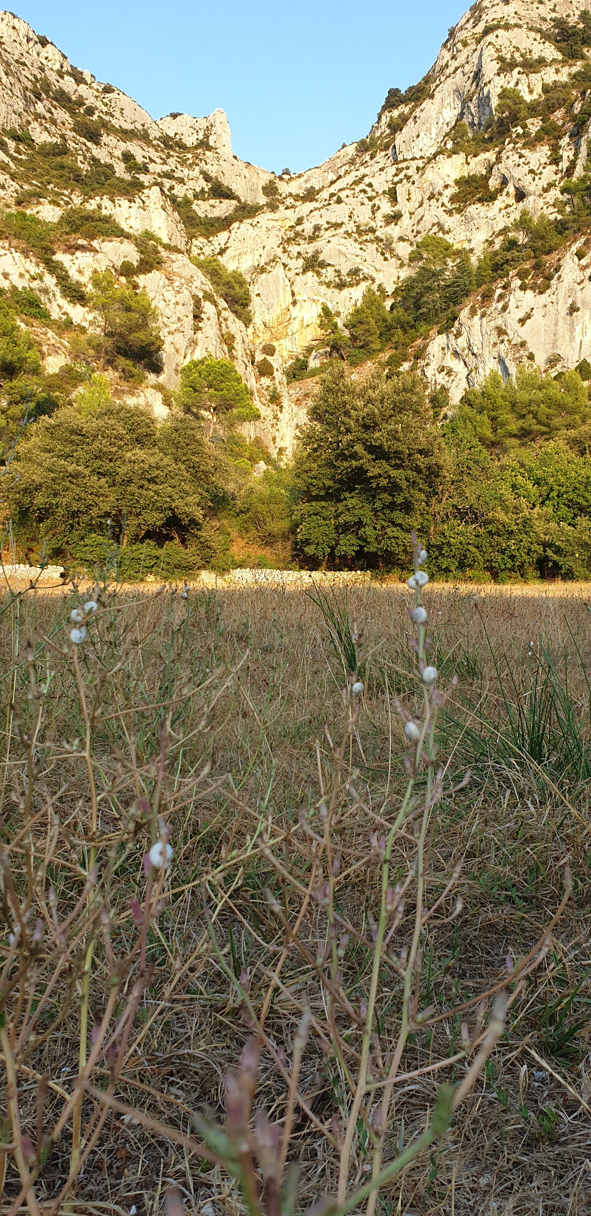 Photo n° 1 de l'avis de Veronique.e fait le 07/08/2019 à 07:04