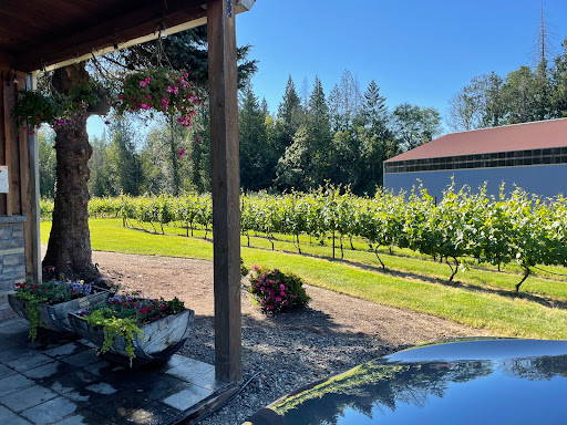 Winery «Three Brothers Vineyard and Winery», reviews and photos, 2411 NE 244th St, Ridgefield, WA 98642, USA