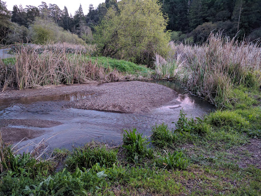 Park «Temescal Regional Recreation Area», reviews and photos, 6502 Broadway Terrace, Oakland, CA 94618, USA