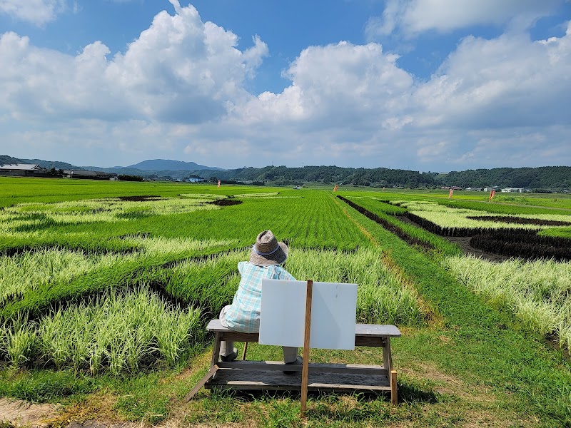 田んぼアート in 南九州市