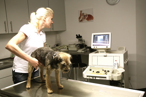 Dr.med.vet. Ulrike Baackman und Claudia Westrup Tierärztin unter Nottuln, 
