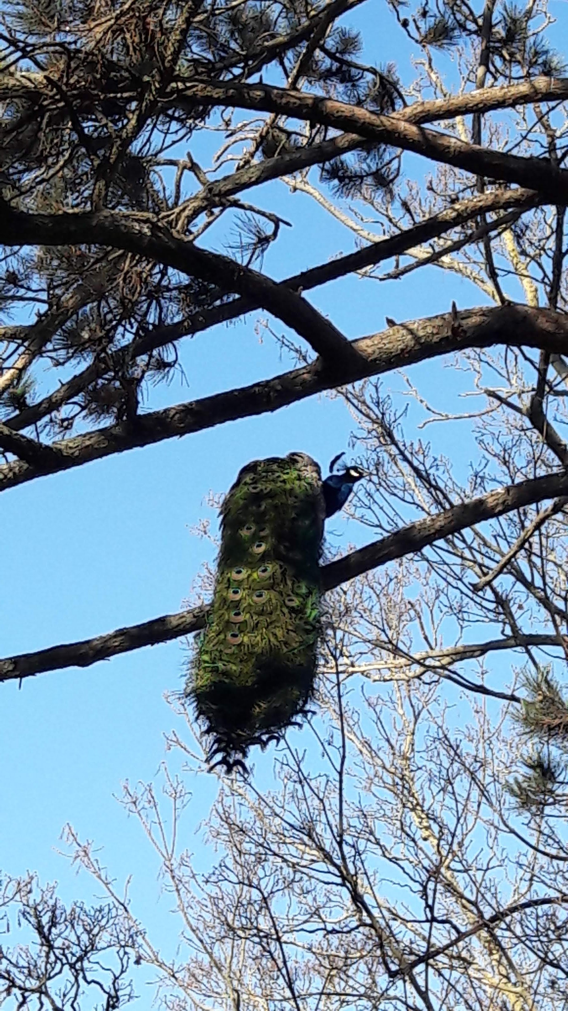 Photo n° 5 de l'avis de Jean-François.e fait le 06/03/2021 à 23:43