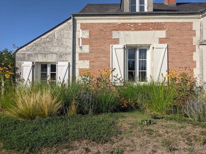 Baz mazelles à Thésée (Loir-et-Cher 41)