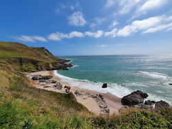 Mattiscombe Sands'in fotoğrafı vahşi alan